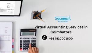 Virtual Accounting Services in Coimbatore