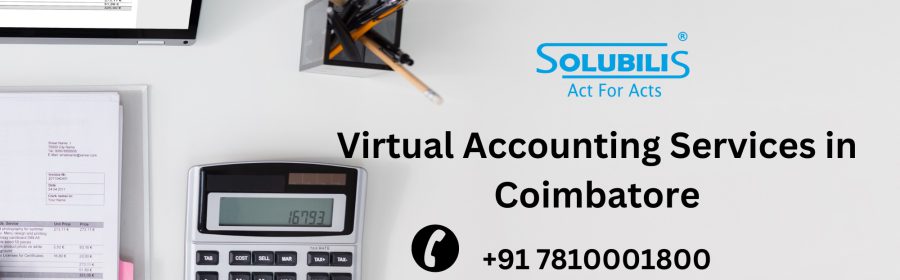 Virtual Accounting Services in Coimbatore